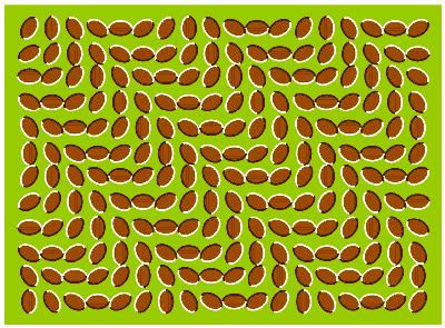regarde